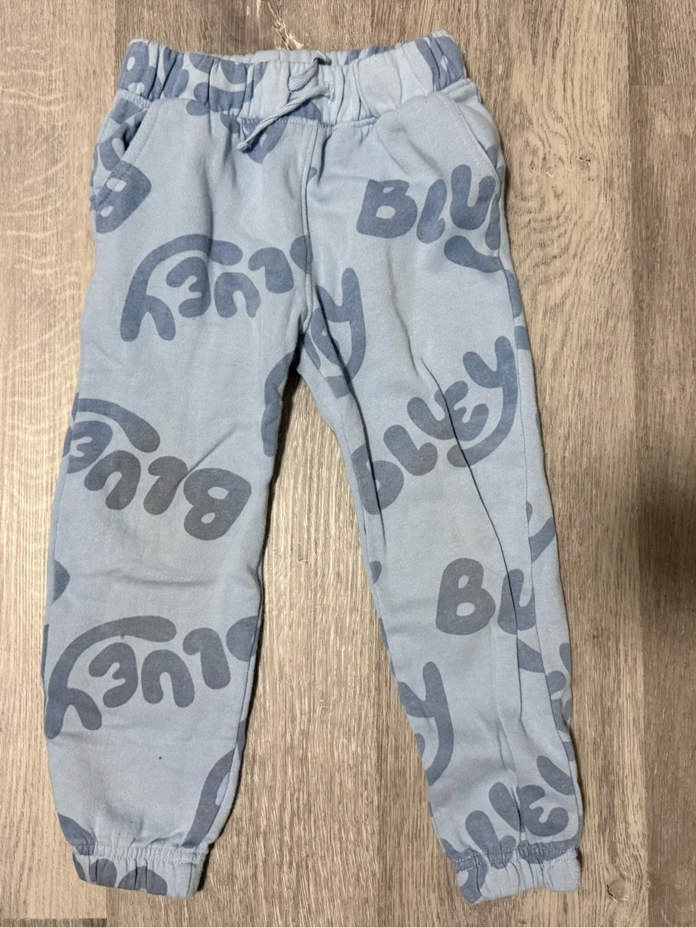 Bluey Toddler Play Set